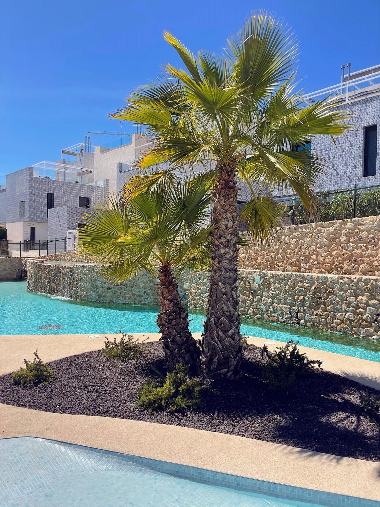 Salinas Lagoon - Penthouse With Swimming Lagoon, Quiet Community, Playstation, Near Golf سان ميجيل دي ساليناس المظهر الخارجي الصورة